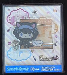 Acrylic key holder with CD case