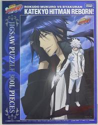 a private teacher hit man -- reborn 