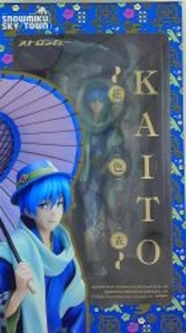 SNOWMIKU SKY/TOWN KAITO 花色衣