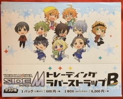 THE iDOLM@STER SIDEM