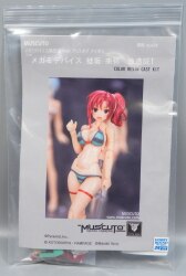 Alice Gear aegis