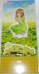 Acrylic Stand / flower decoration