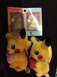 A pair mascot / Pokemon 