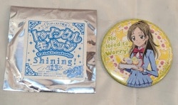 東映アニメーション プリティストア限定 トゥインクル缶バッジ13shining! 南野奏