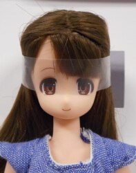 Amusement Doll project