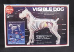 ANATOMY KIT
