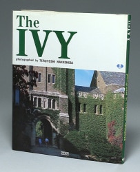 The IVY
