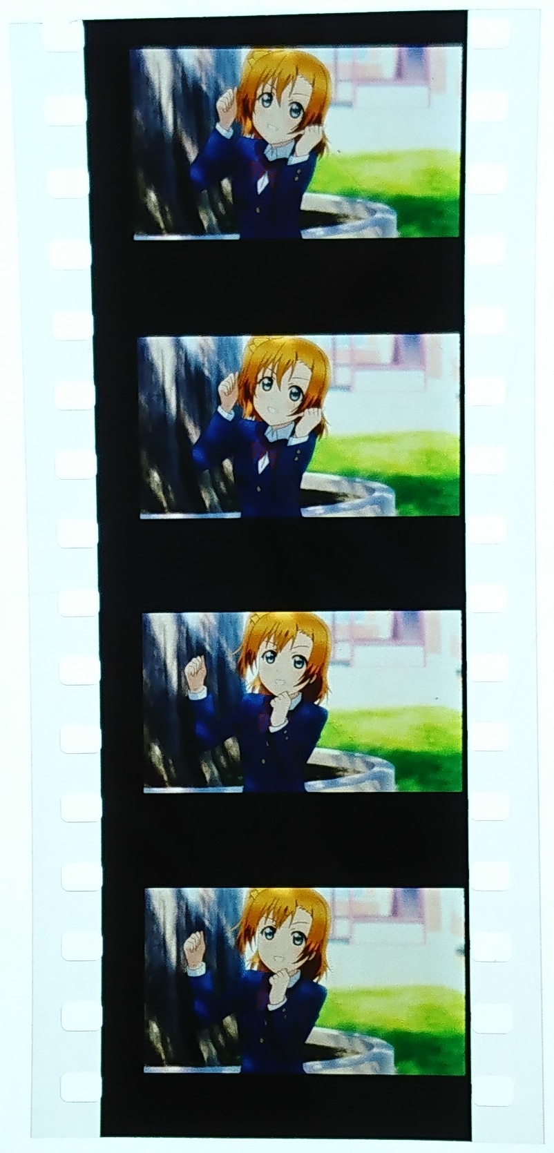 劇場版 ラブライブ！ μ's 入場特典フィルム 南ことり 羽ばたき ラブライブ μ'sありがとうPROJECT フィルムセット（南ことり劇場