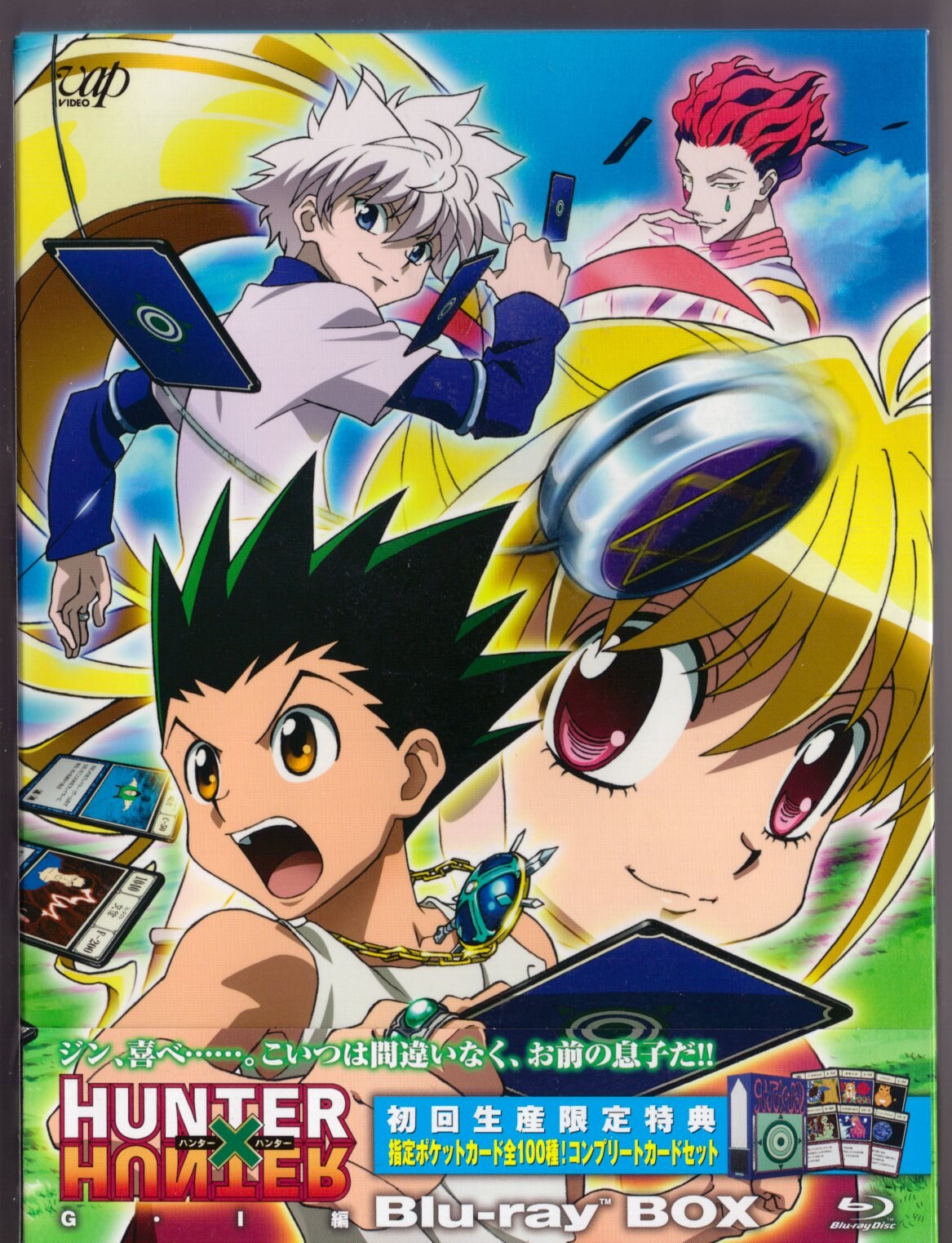 指定ポケットカード全100種コンプリートカードHUNTER×HUNTER