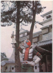 まんだらけ通販 | カルビー旧仮面ライダーカード
