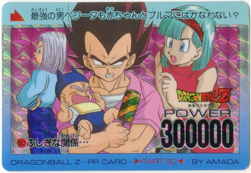 ドラゴンボールZ アマダPPカード 843 ふしぎな関係…
