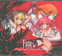 Mandarake Fate Extra Ccc