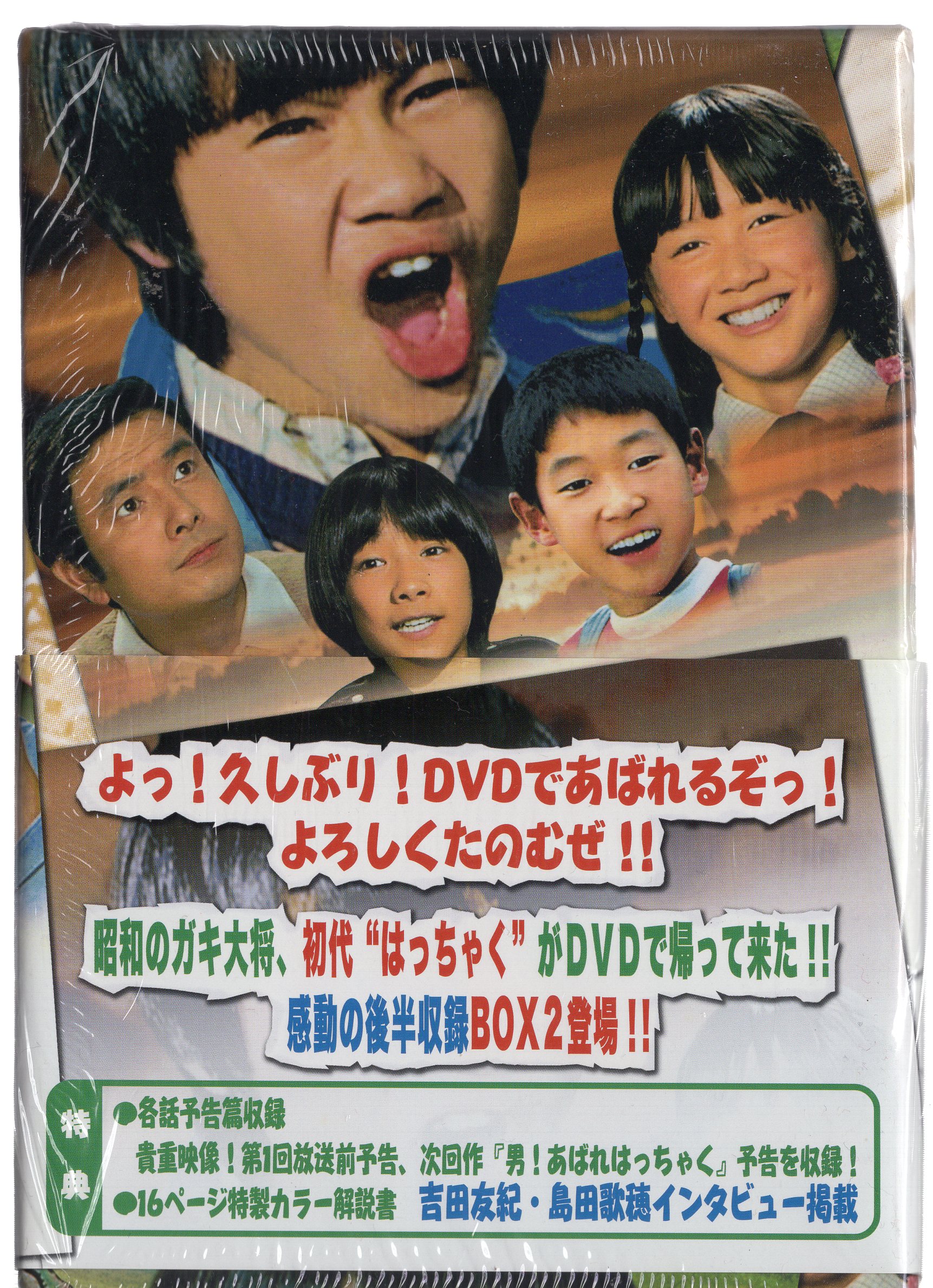 激レア!!『俺はあばれはっちゃく DVD-BOX2』吉田友紀・島田歌穂/あばれ 