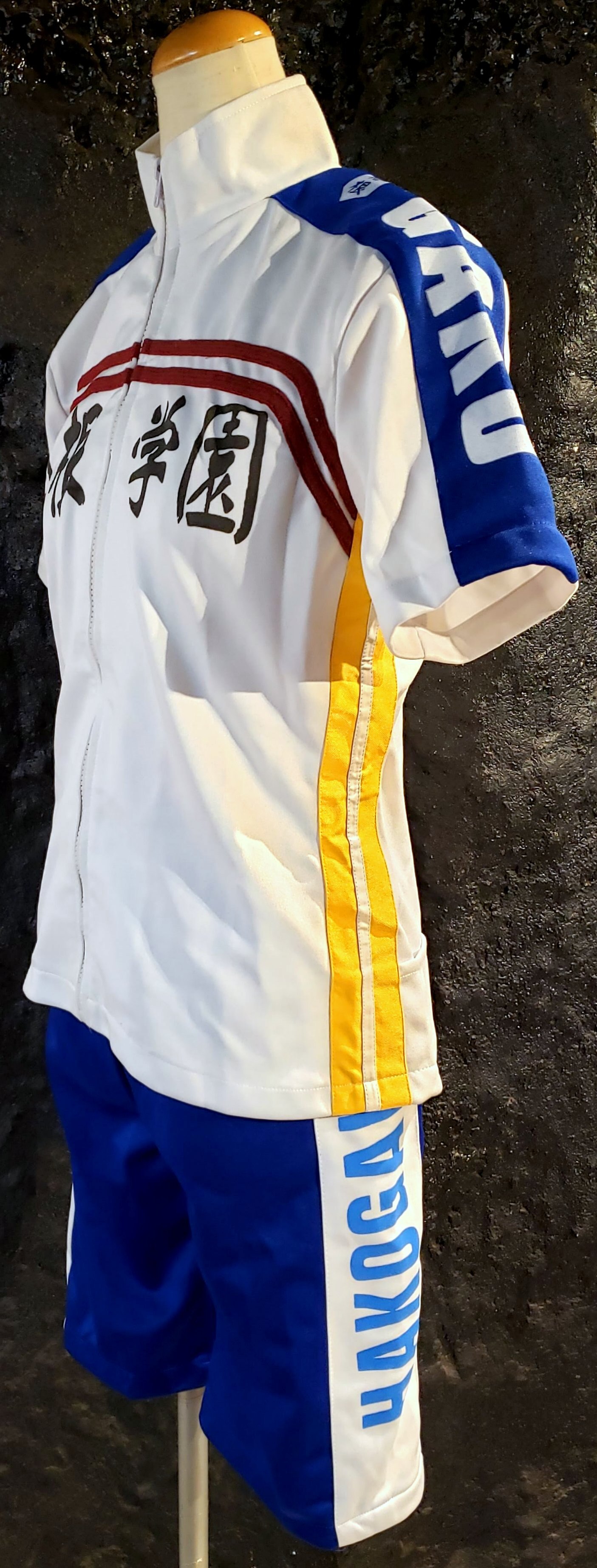 最安値に挑戦 弱虫ペダル 箱根学園 ユニフォーム コスプレ 衣装 Cc1293 現金特価 Www Endocenter Com Ua