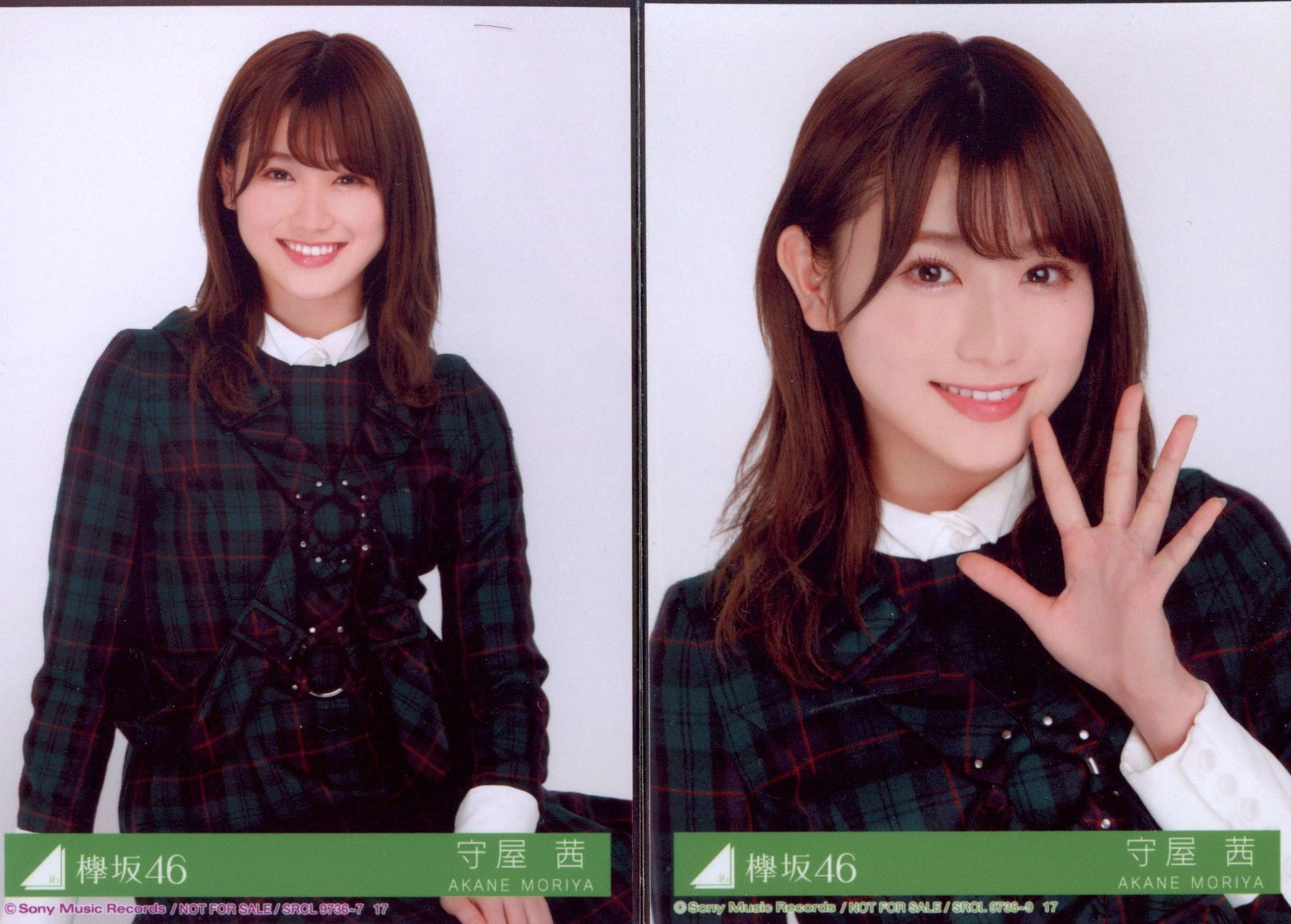 欅坂46 生写真　ガラスを割れ！コンプ 欅坂46 生写真ガラスを割れ！コンプ