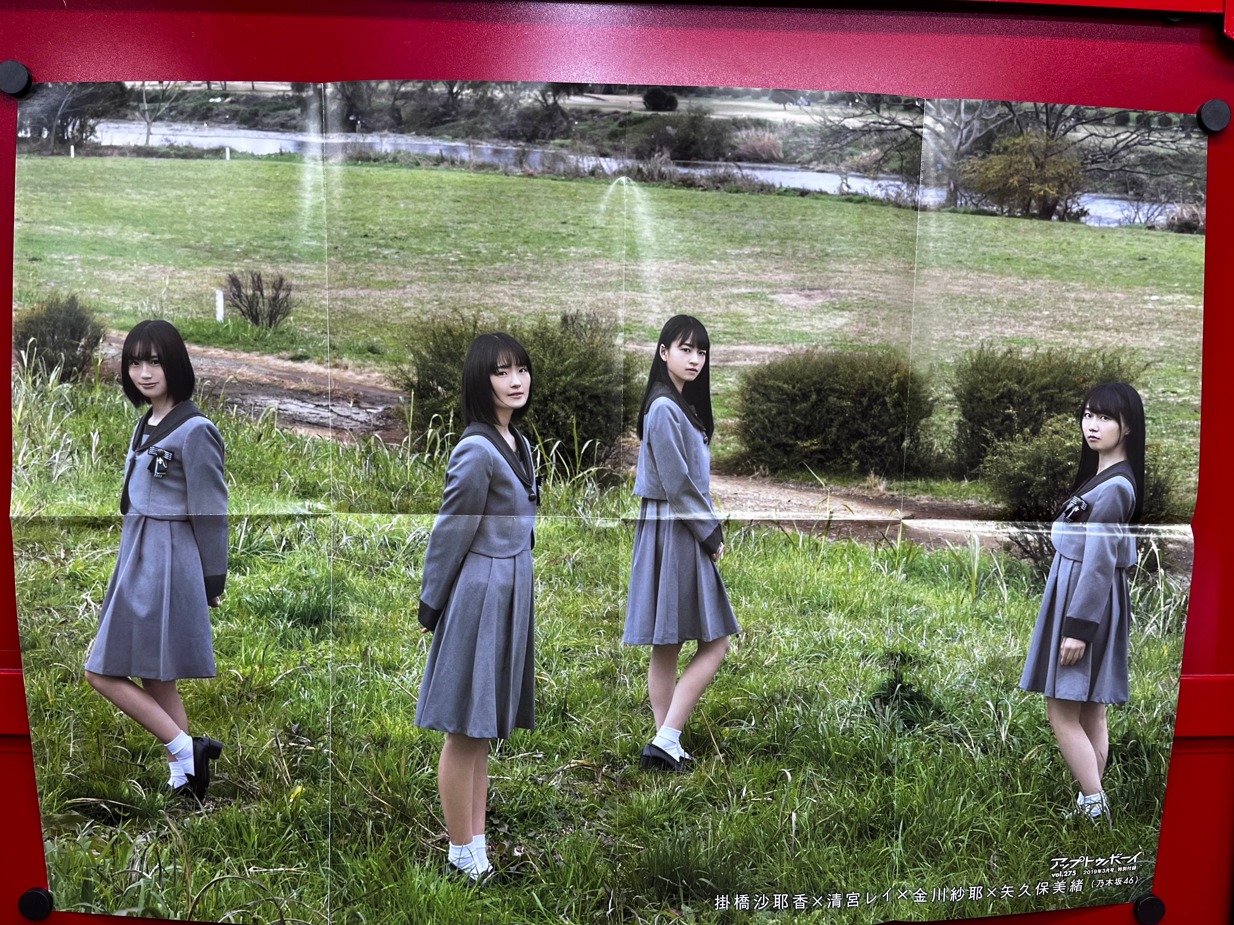 Nogizaka　To　Online　poster　vol.275　Boy　2019　Mandarake　46　Supplement　Special　Shop　Meeting　March　Up　Edition