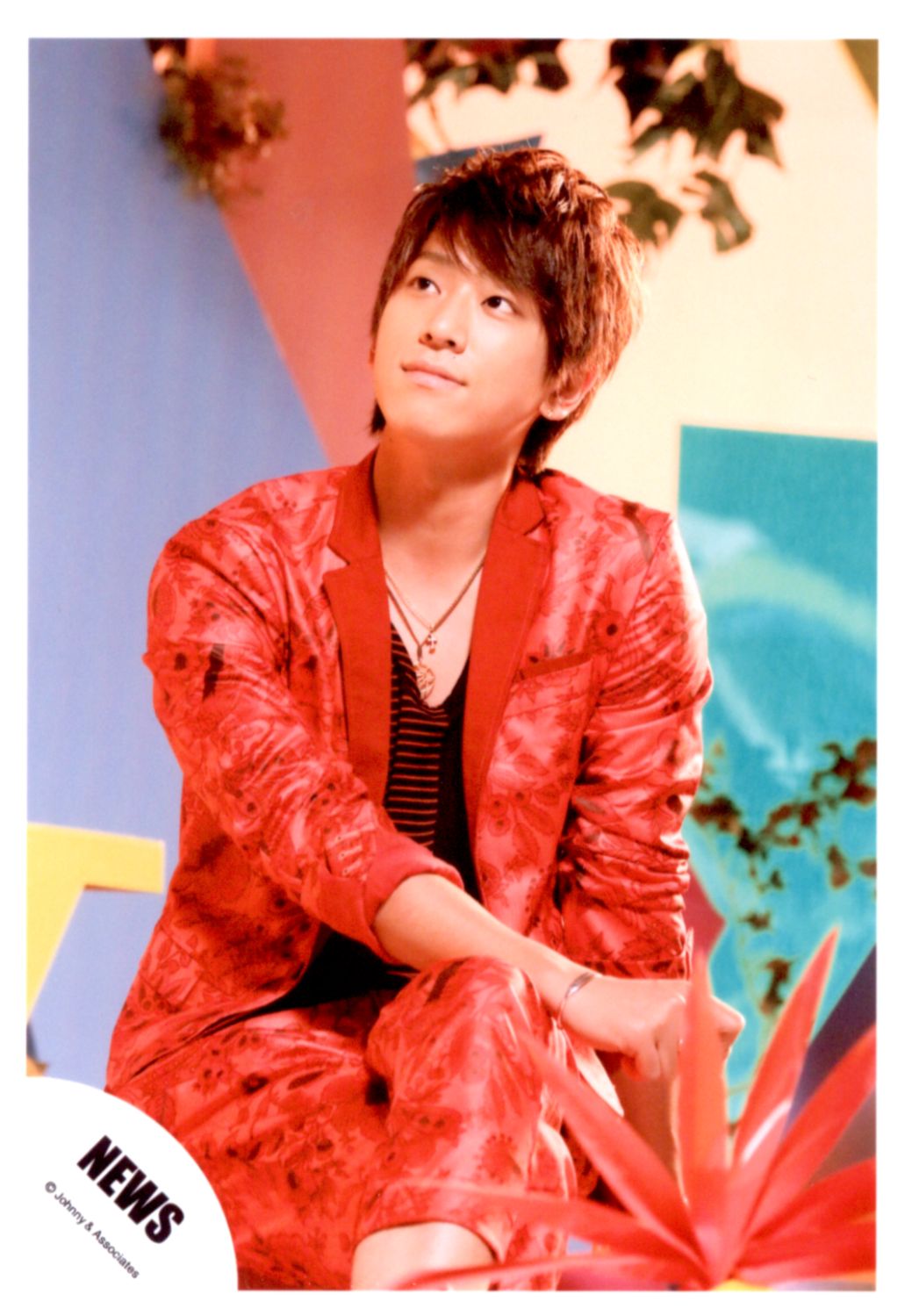 News Seven Colors Keiichiro Koyama Official Photograph Single Photo Mandarake Online Shop