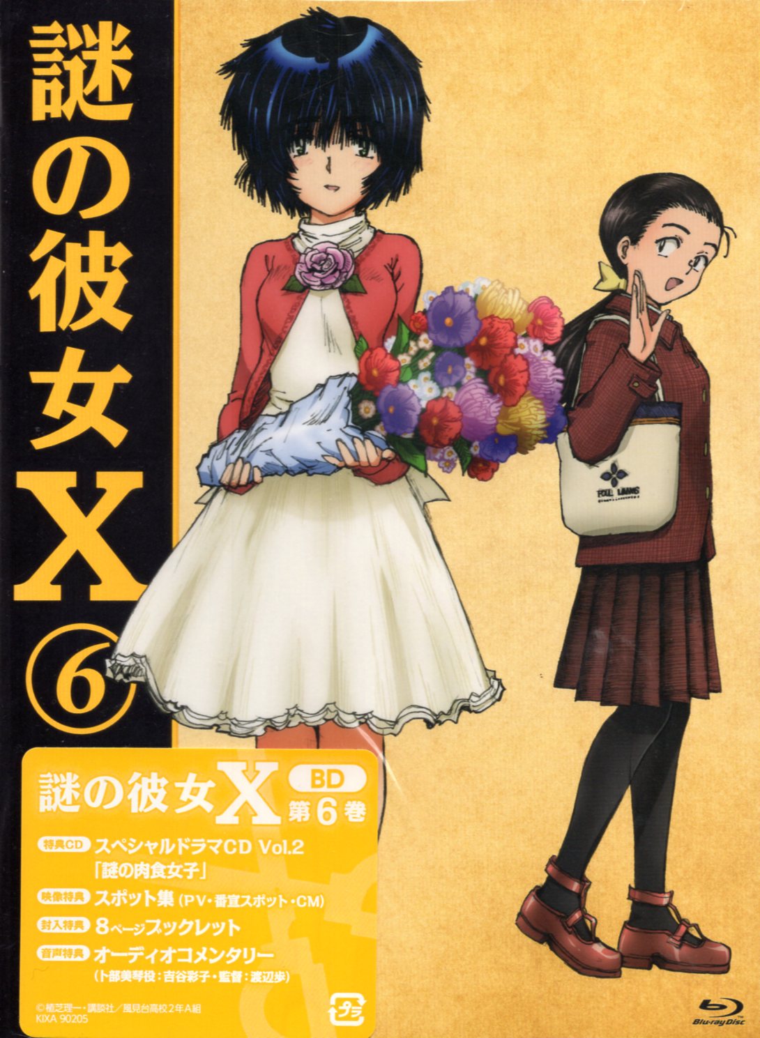 謎の彼女X (期間限定版) Blu-ray全6巻セット + 9巻限定版DVD付き