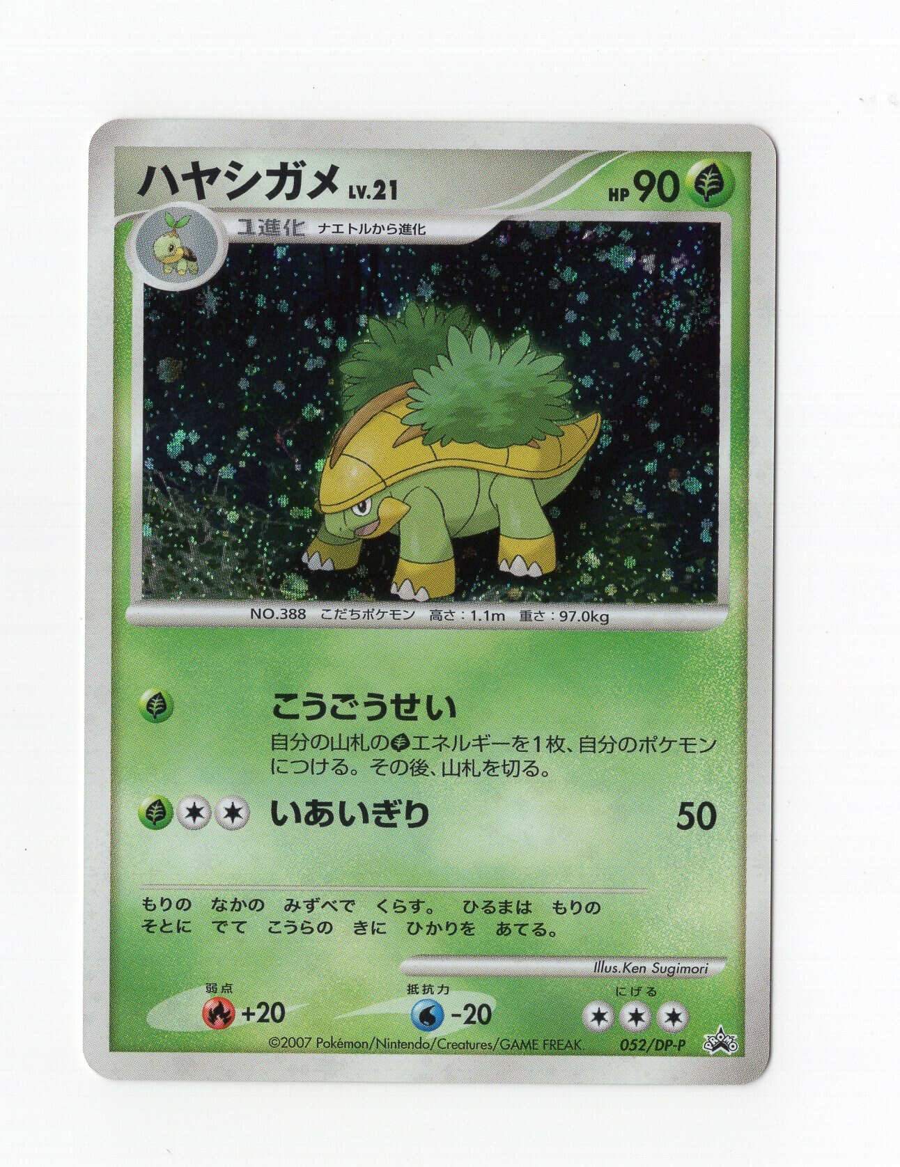 Pokemon Dp プロモ 052 Dp P ハヤシガメ まんだらけ Mandarake