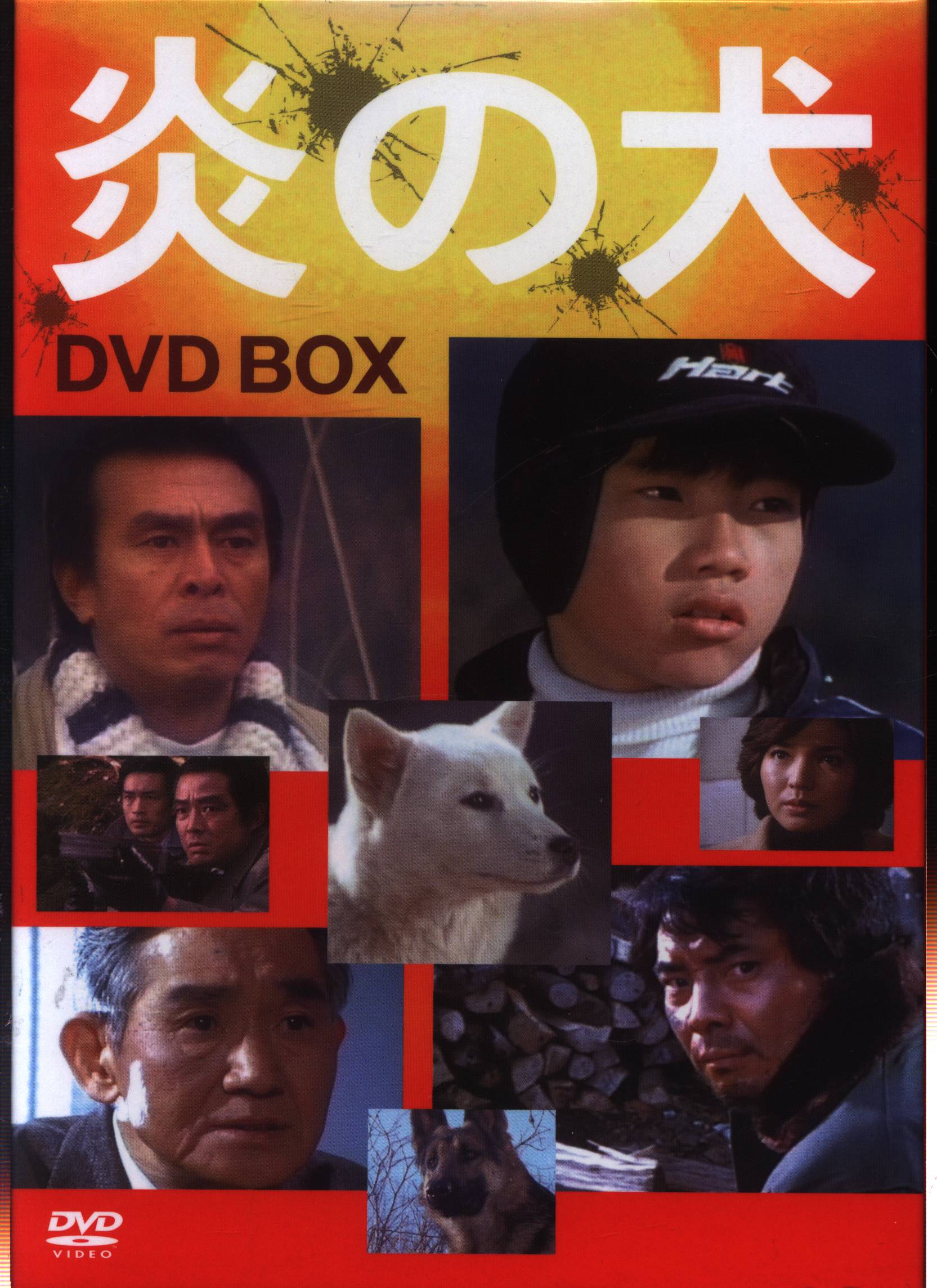 ドラマDVD 炎の犬 DVD-BOX | まんだらけ Mandarake