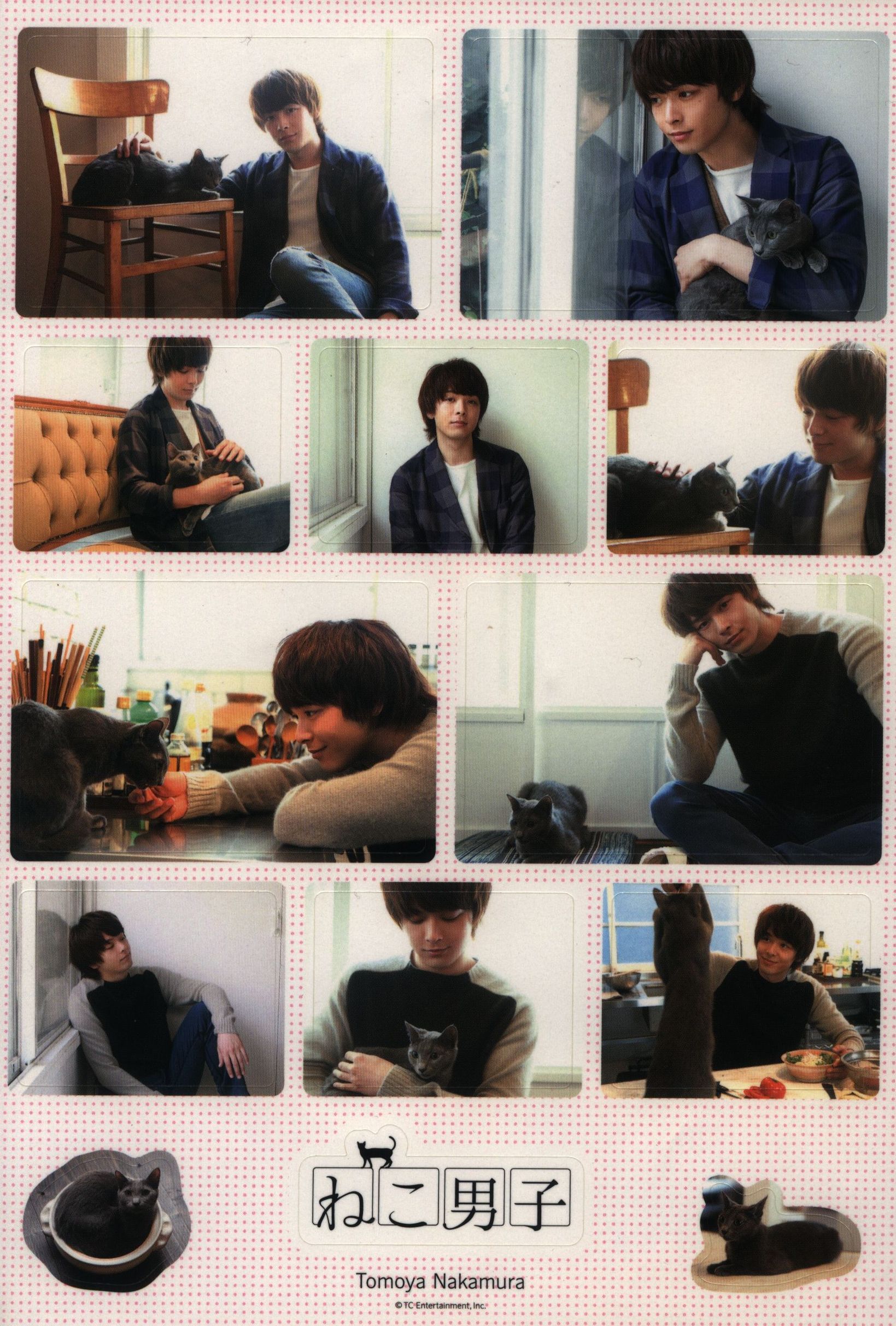 ねこ男子 中村倫也 ステッカー ありある まんだらけ Mandarake