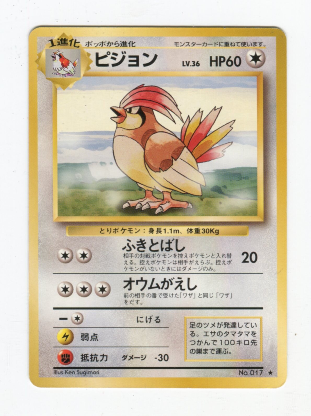 Pokemon 旧裏 1弾 再版 ポケモン 無色 ピジョンlv36 ふきとばし まんだらけ Mandarake