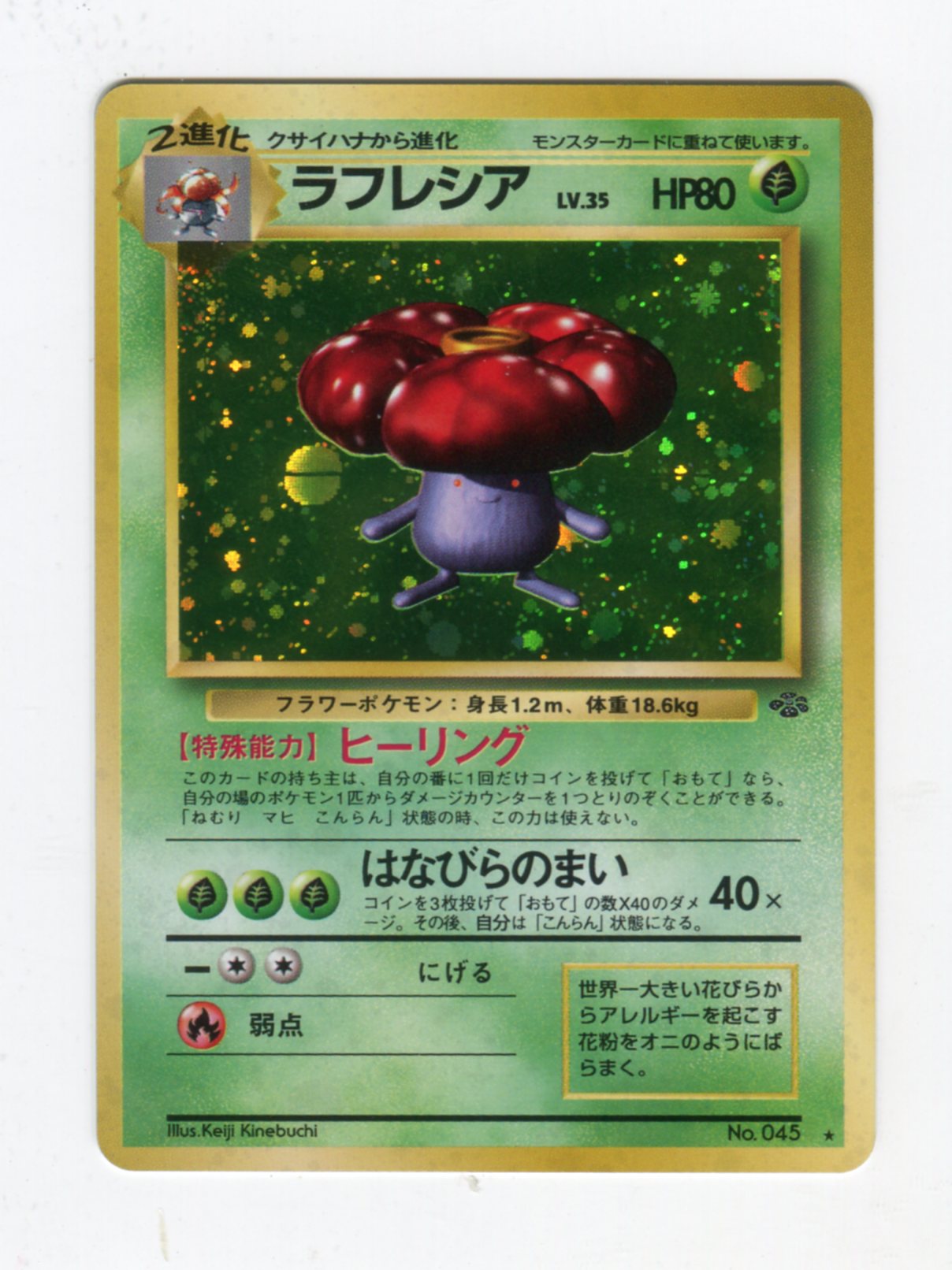 Pokemon 旧裏 2弾 ポケモンジャングル ポケモン 草 ラフレシアlv35 ヒーリング まんだらけ Mandarake