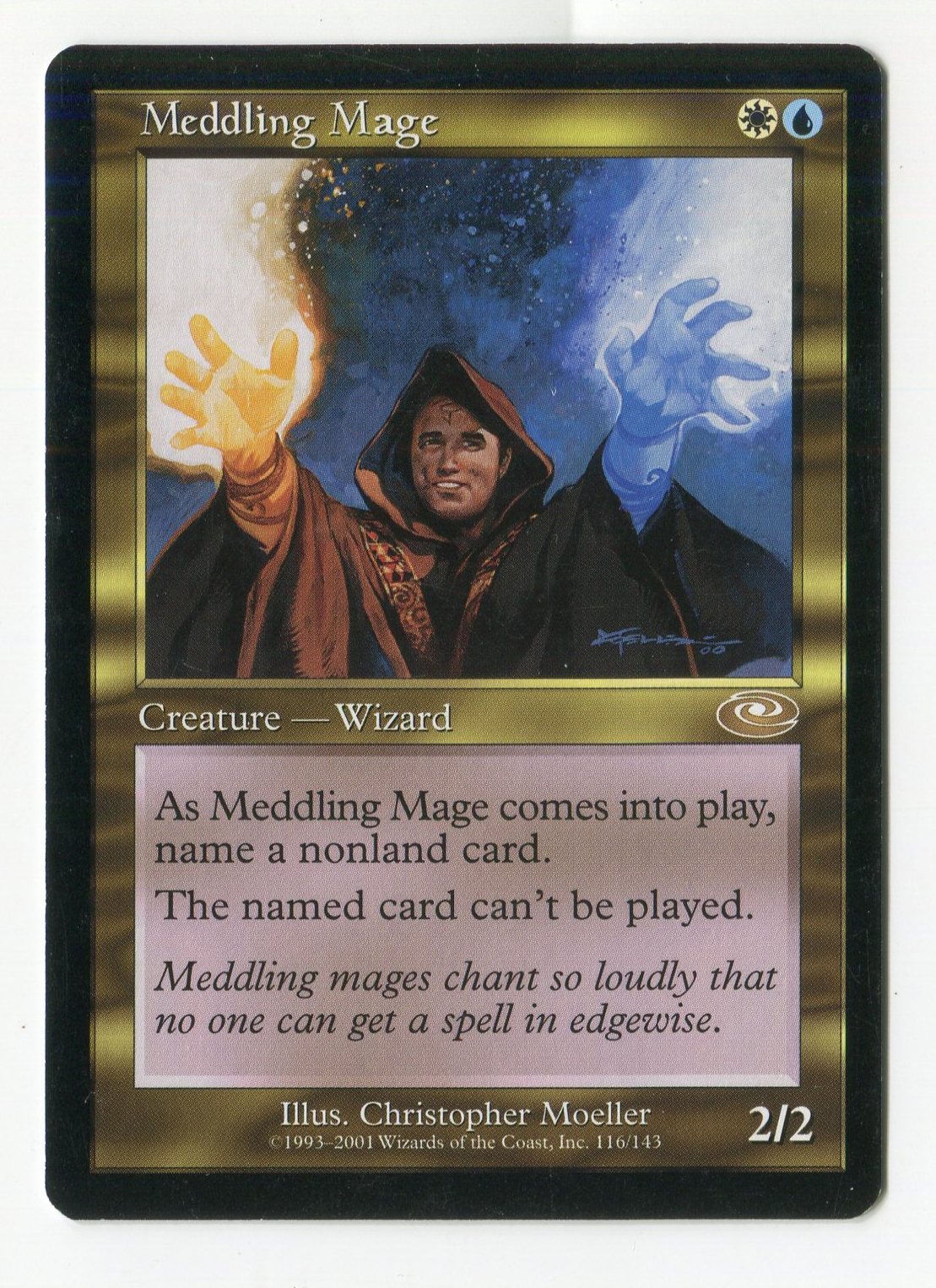 翻弄する魔道士/Meddling Mage サインド Foil てなグッズや