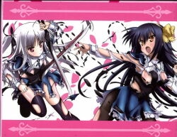 Absolute Duo: Complete Series (Blu-ray) for sale online