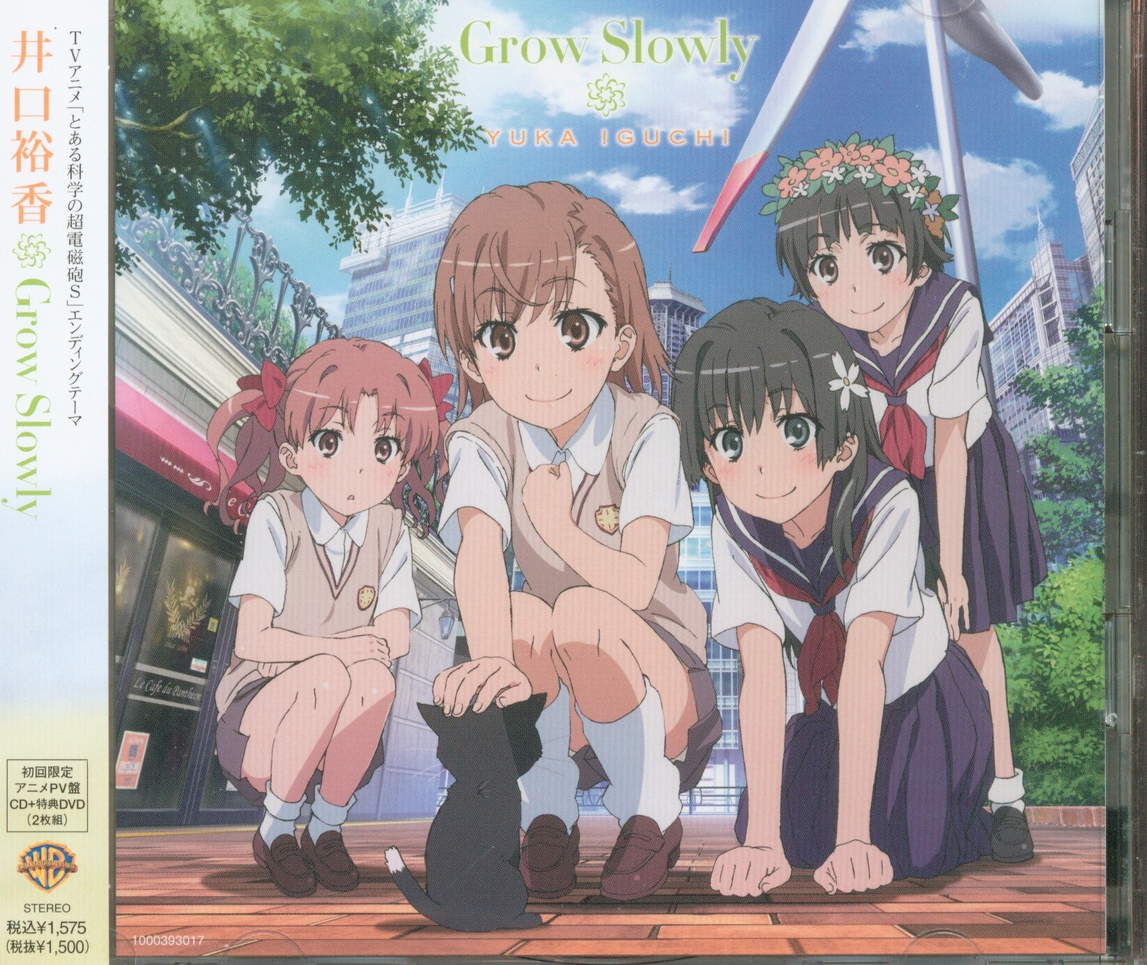 Anime Edition) Grow Slowly / A Certain Scientific Railgun-S | Mandarake  Online Shop