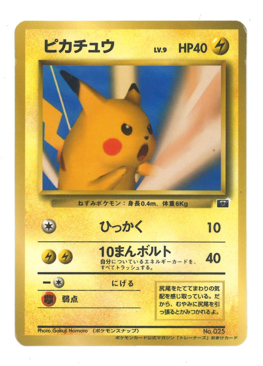 Pokemon 旧裏 プロモ 付録 特典系 ピカチュウlv9 ひっかく まんだらけ Mandarake