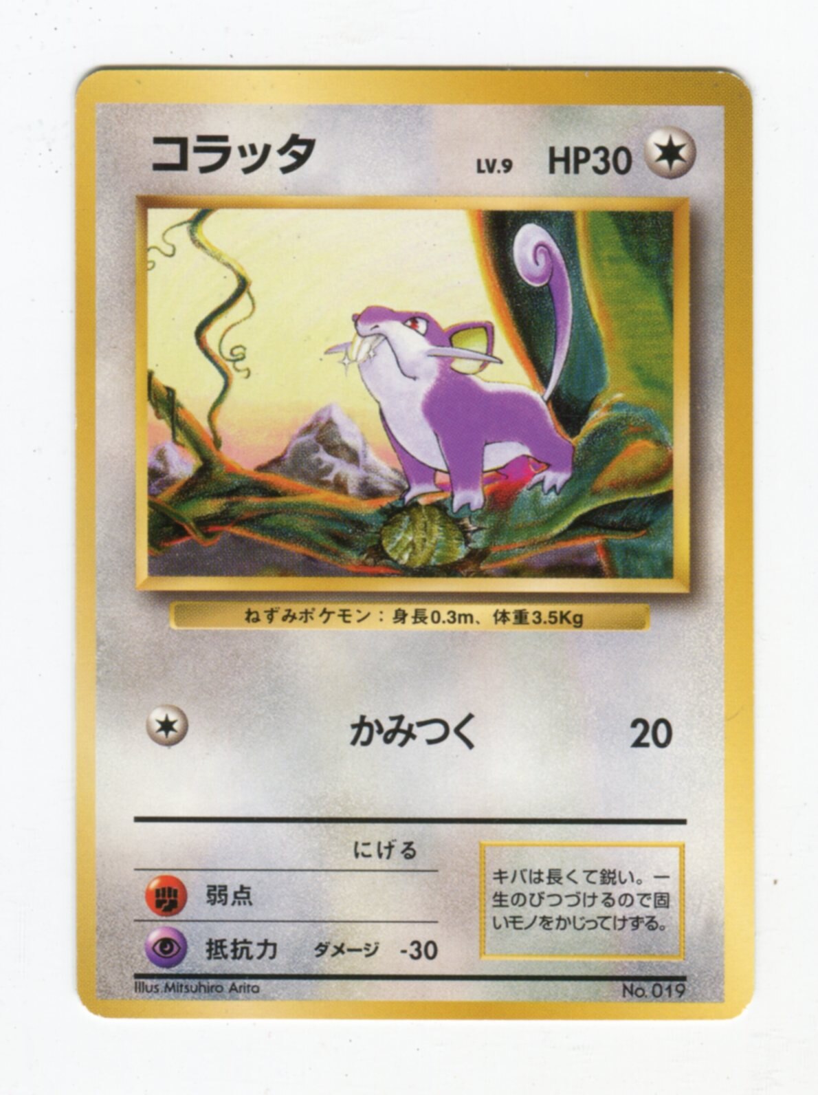 Pokemon 旧裏 1弾 初版 ポケモン 無色 コラッタ ナシ まんだらけ Mandarake