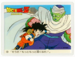 ドラゴンボールZカレー そうだ!もっともっとつよくなれ! 9
