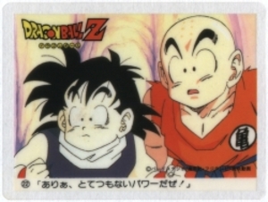 ドラゴンボールZカレー ありぁ、とてつもないパワーだぜ! 22