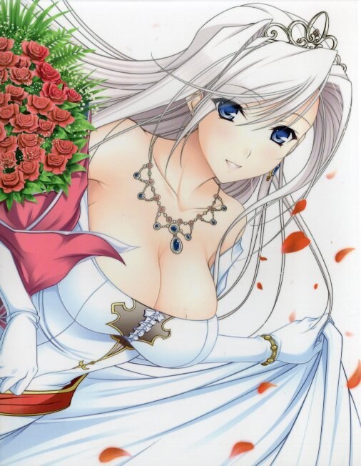 animeblurayprincessloverbluraybox