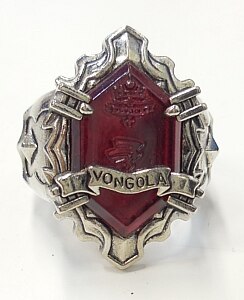 希少！ ボンゴレリング 嵐 エラー品