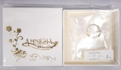 AMNESIA World