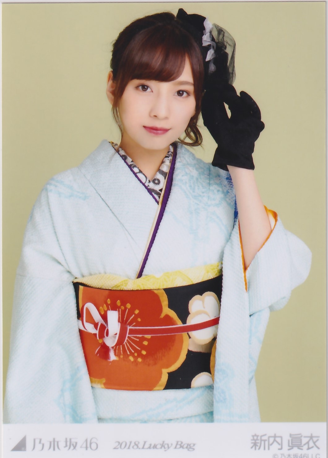 乃木坂46 生写真 2018 LuckyBag(2018 福袋) 乃木坂46 生写真 西野七瀬