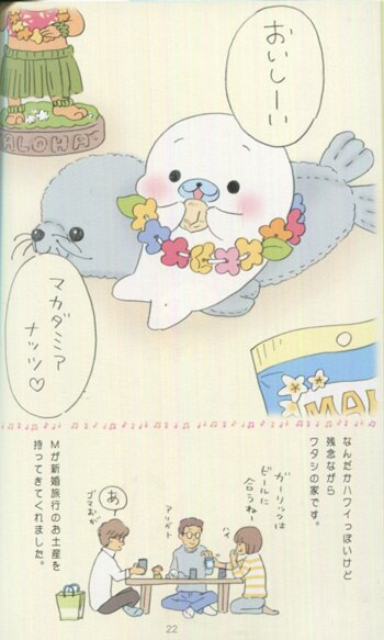 ヨネムラマユミ 直筆イラストサイン本 ワタシとまめゴマ日記 10巻 まんだらけ Mandarake