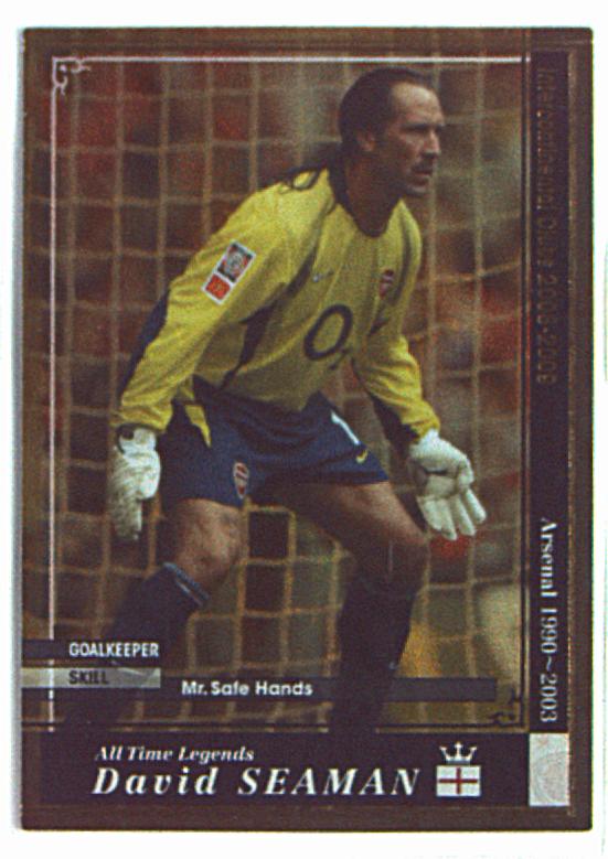 SEGA WCCF WCCF08-09 David Seaman (08-09/ATLE) ATLE | MANDARAKE