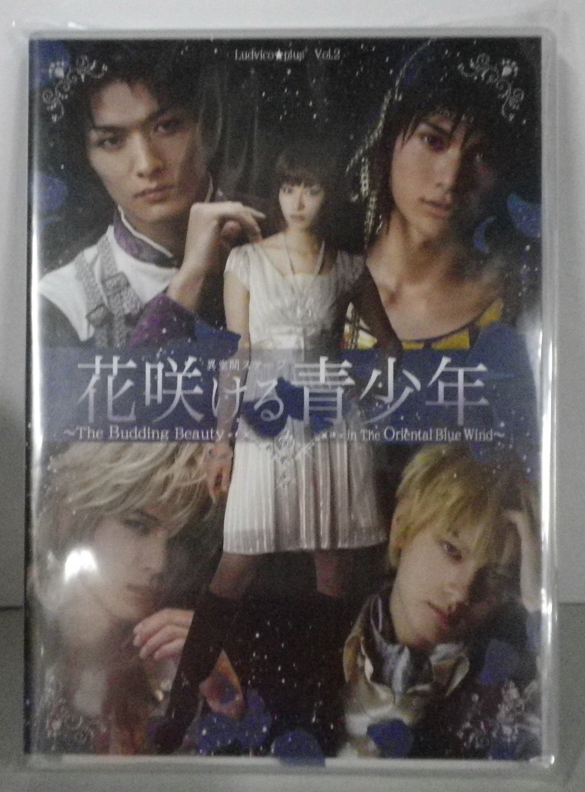 舞台dvd 花咲ける青少年 Dvd 舞台the Budding Beauty In The Oriental Blue Wind まんだらけ Mandarake