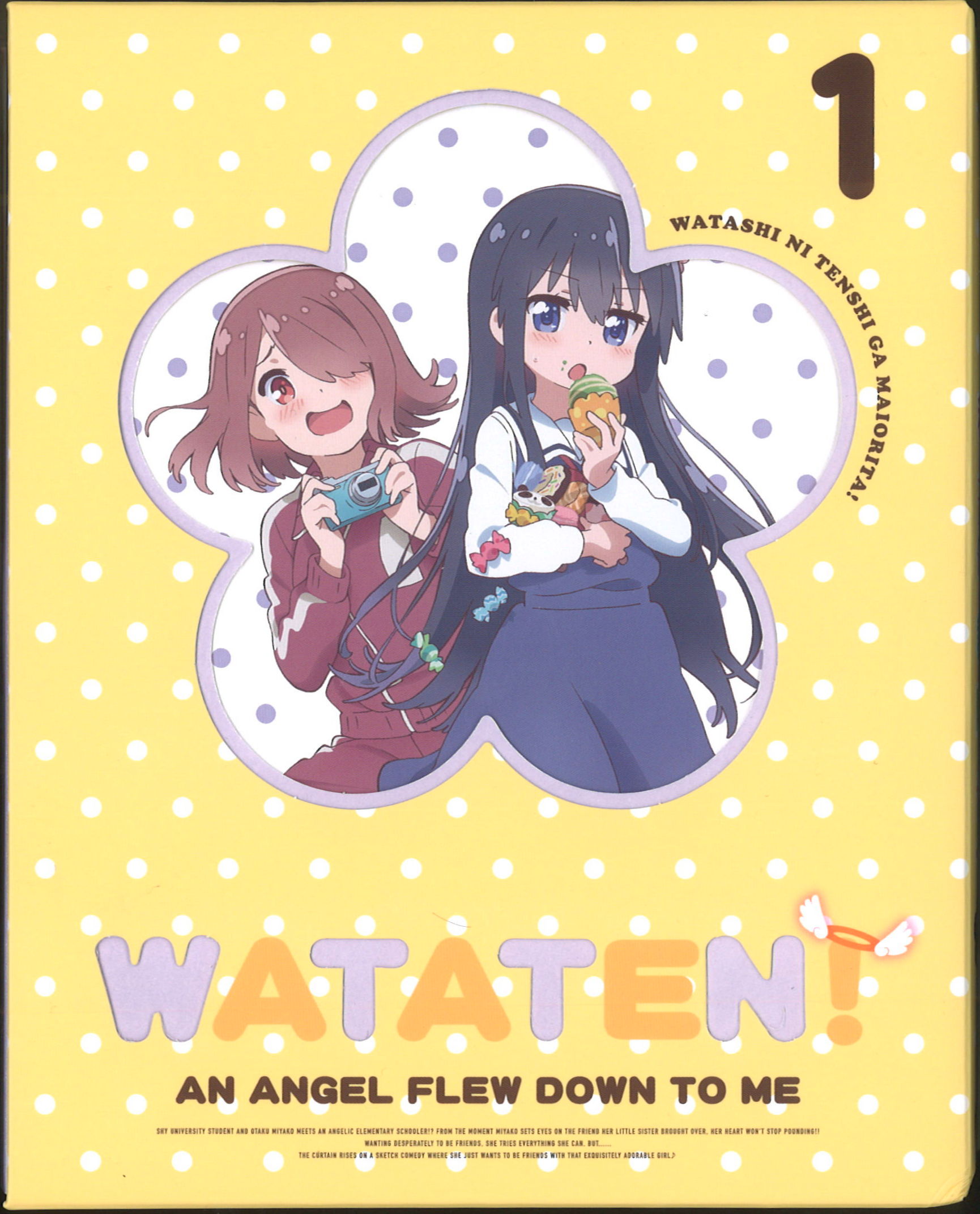 Blu-ray>私に天使が舞い降りた! 初回全3巻 セット | まんだらけ Mandarake