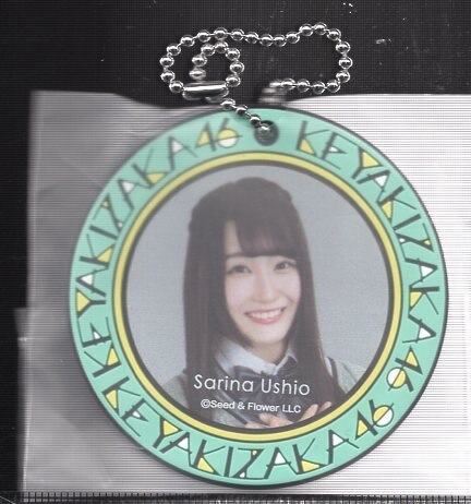欅坂46くじ ラバーチャーム 20個×2箱 欅坂46くじ ラバーチャーム 20個×2箱