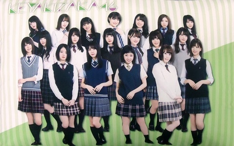 けやき坂46 くじっちゃお 欅坂46くじ けやき坂46集合 BIGクッション賞