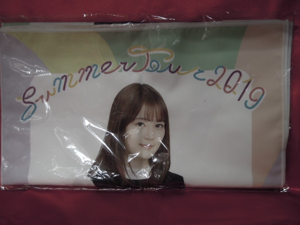 Nogizaka 46 Erika Ikuta midsummer nationwide tour 2019 individual