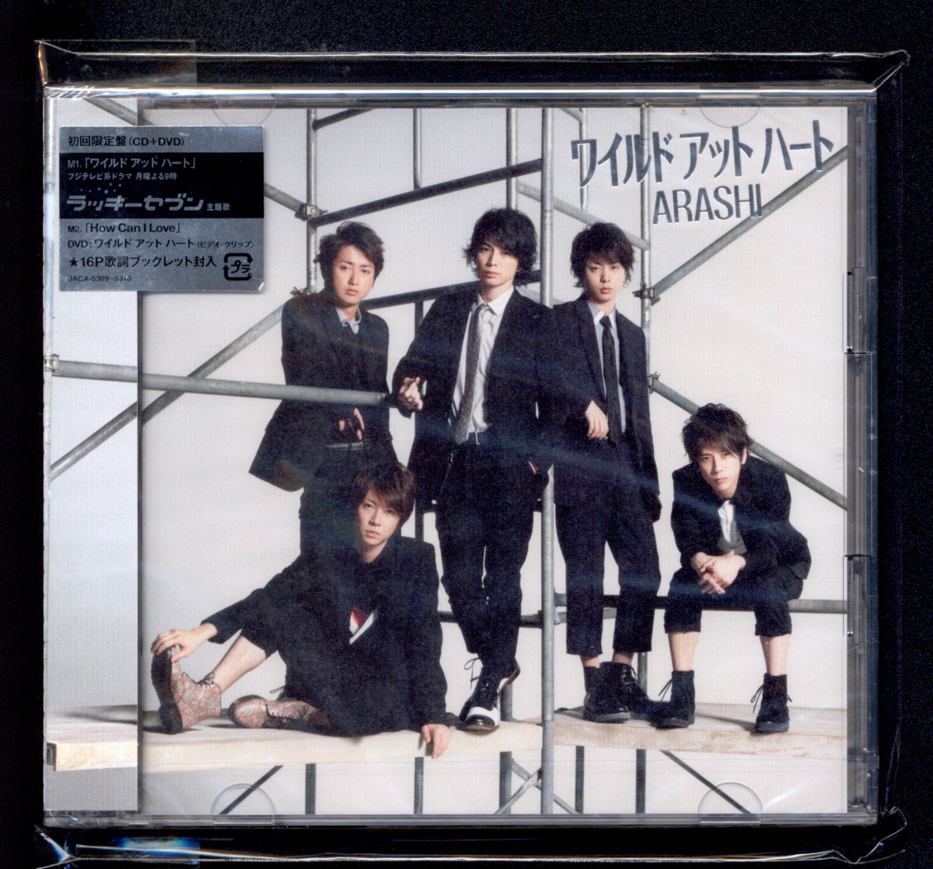 嵐 ワイルド アット ハート 初回限定盤 *CD+DVD ビデオクリップ収録/16P歌詞ブックレット付 *未開封 | まんだらけ Mandarake