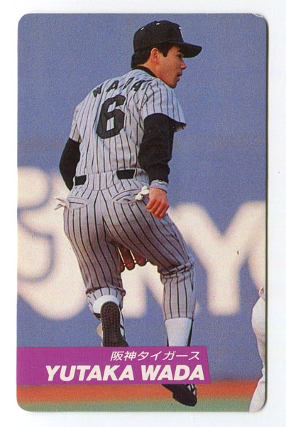 カルビー プロ野球チップス 1993 BASEBALL CARD 和田豊 亀山努 
