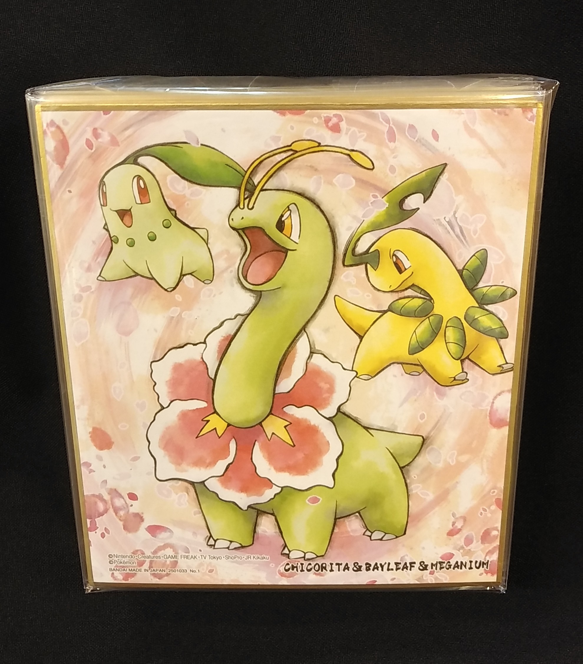 Bandai 色紙art 2弾 ポケモン色紙art2 全16種 セット まんだらけ Mandarake