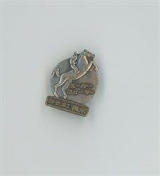 A badge/badge 