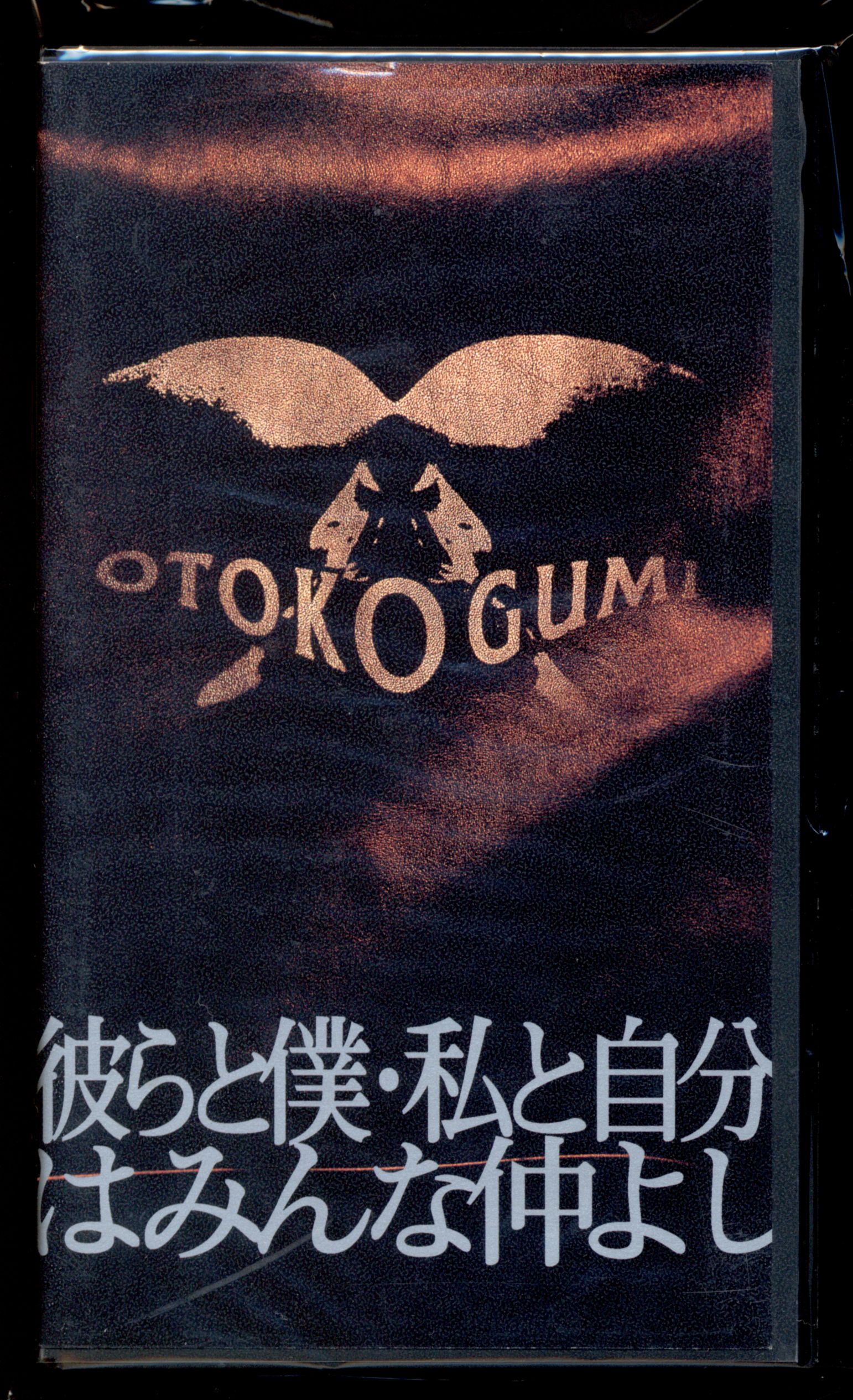 男闘呼組 彼らと僕・私と自分はみんな仲よし VHS-